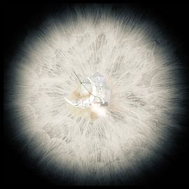 Pusteblume des Lebens 100 von Tihana Buterin