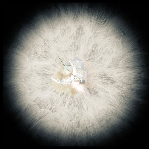 Dandelion of Life 100