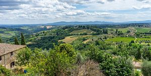 Weinberge in der Toskana Landschaftspanorama- Italien Reiseführer