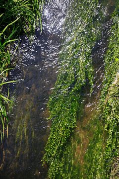 element water van Thomas Jäger