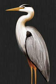 Heron in Golden Silence by Color Square