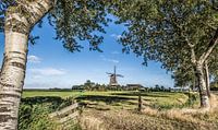 Typisch Hollands landschap in Friesland nabij Paesens Moddergat met windmolen en een blauwe lucht von Harrie Muis Miniaturansicht