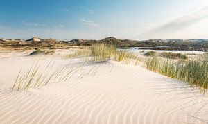 Sandverschiebung in den Dünen