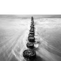 Black and white shot of posts with the movement of water