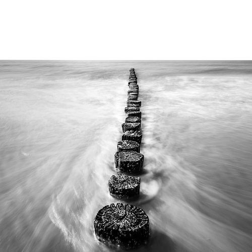 Zwart wit opname van paaltjes met de beweging van het water