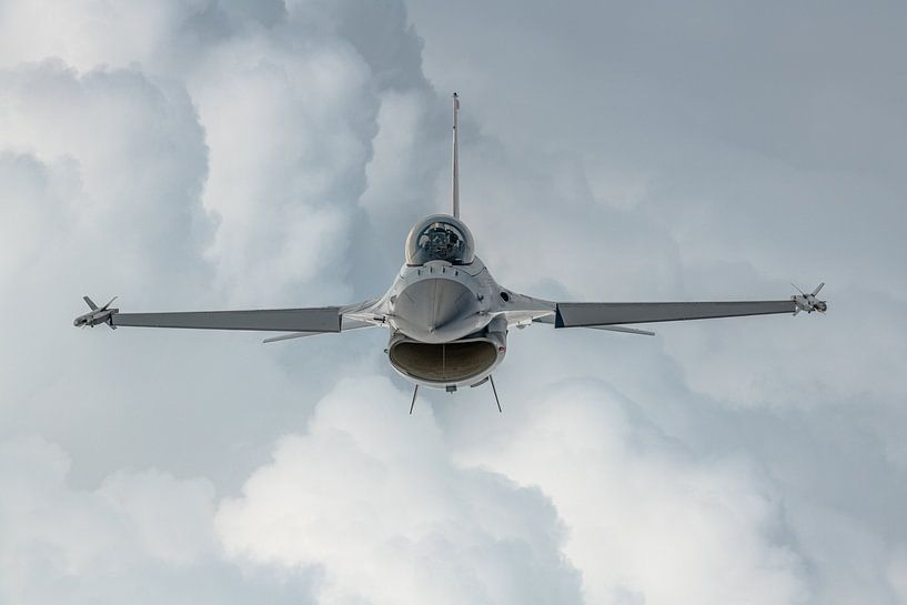 Un General Dynamics F-16A Fighting Falcon de l'armée de l'air danoise. par Jaap van den Berg