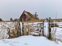 Boet in the snow