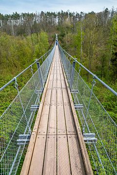 Hangbrug Hohe Schrecke van t.ART