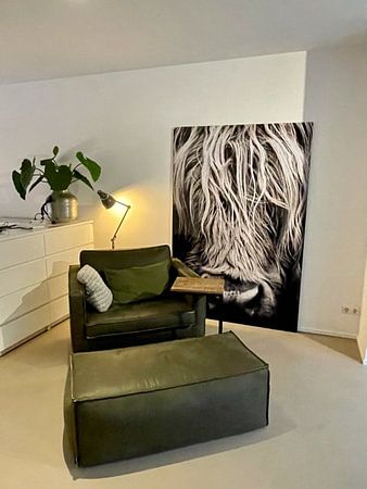 Schottischer Highlander