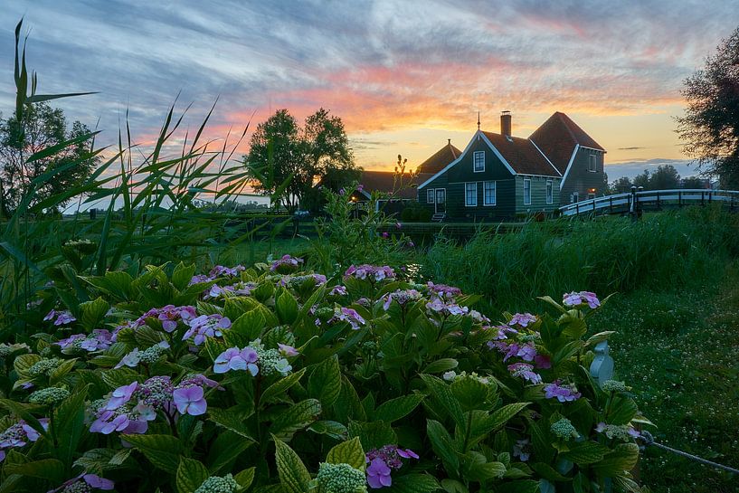 Zaanse Schans - Cheese farm Catherine Hoeve by Ad Jekel