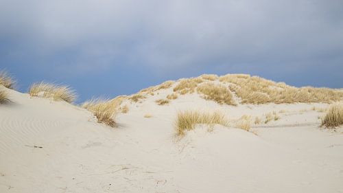 Duinen op Terschelling