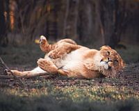 Was guckst du denn da?