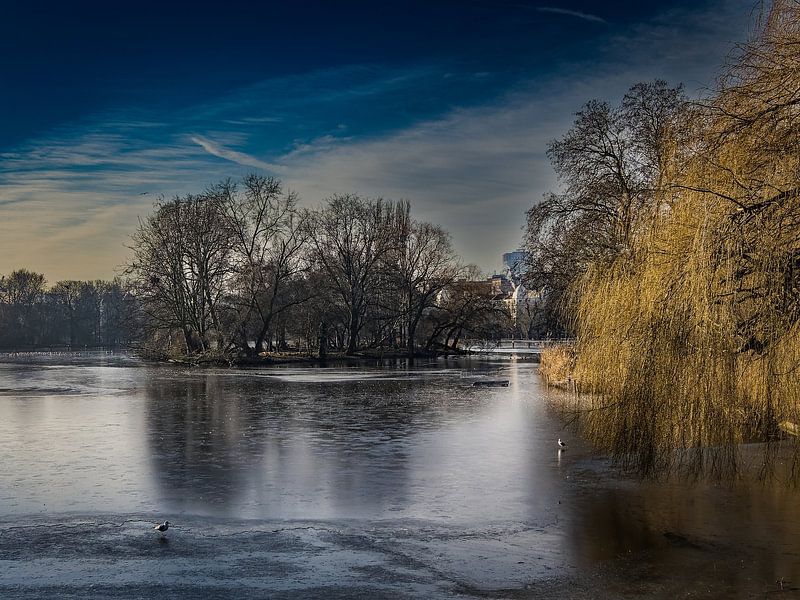 Regentt's park by Andre Bolhoeve