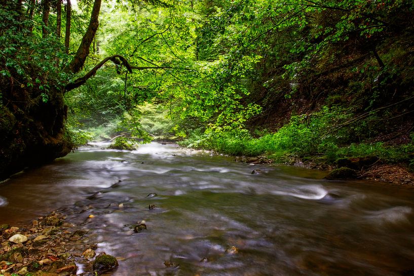 wild gauchach by Jürgen Wiesler