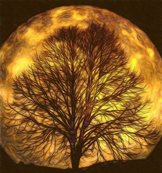 La lune brille à travers les arbres par Atelier Liesjes