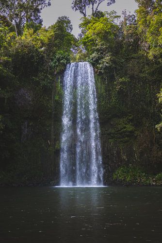 Millaa Millaa Waterval: Een Parel in het Tropische Noorden van Queensland