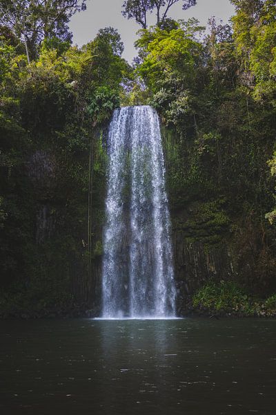 Millaa Millaa Waterfall: Eine Perle im tropischen Norden von Queensland von Ken Tempelers