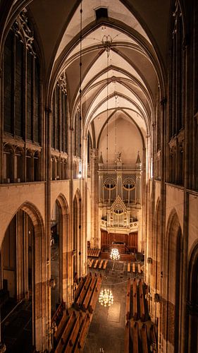 Utrecht City Dom Kerk
