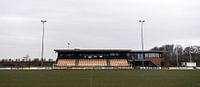Tribune bij VV Nieuw Buinen | Over de Bal