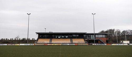 Tribune au VV Nieuw Buinen | A propos du bal