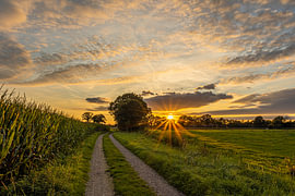 Empese and Tondense Heath by Michel Hol