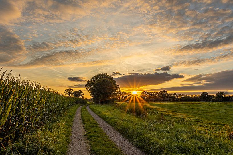 Empese and Tondense Heath by Michel Hol