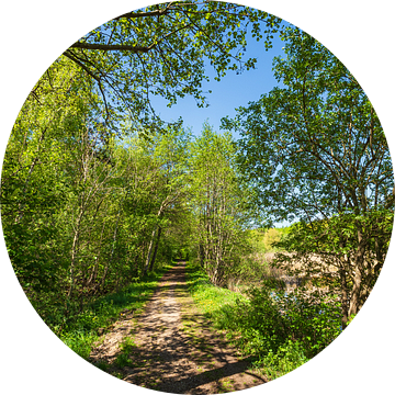 Landschap met pad en bomen bij Kuchelmiß van Rico Ködder