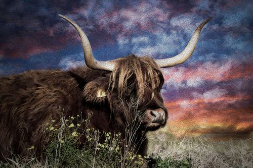 Grote stier