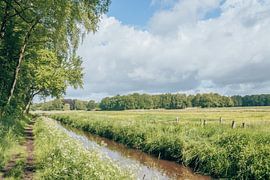 Dwalen langs de Regge - Vechtdal, Nederland - groen, blauw, lente van Wandeldingen