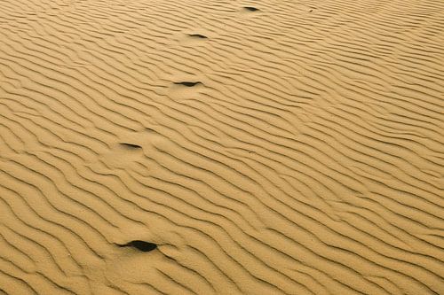 Schwindende Fußstapfen.