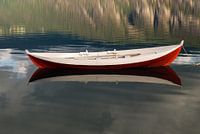 Reflection in red