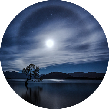 That Wanaka Tree Middernacht van Cho Tang