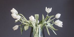 Blanc sur gris foncé