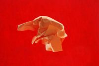 rood oranje