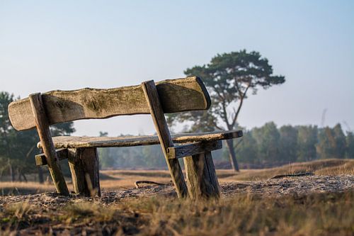 A bench on the moor