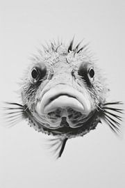 Pufferfish by Poster Art Shop