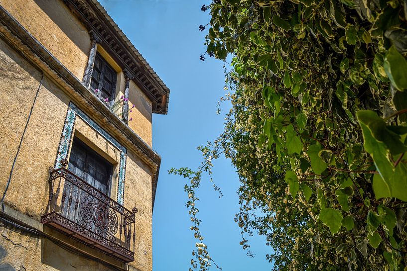 Palace and flowers in Ronda by Marianne Eggink - Photography and digital art