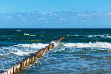 Buhnen und Wellen an der Ostseeküste in Zingst auf dem Fischlan