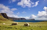 Scottish cliffs