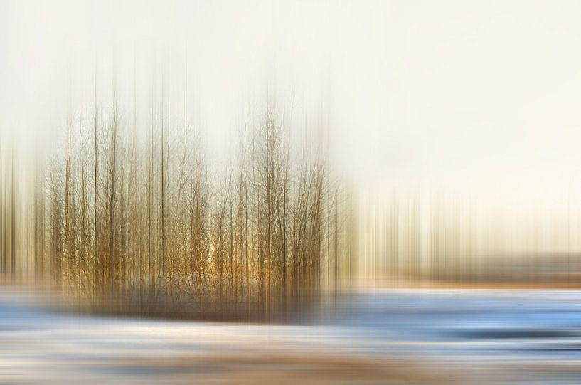 Winter  von Violetta Honkisz
