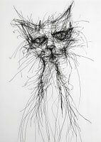 Ochtend Kat