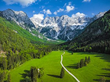 Luftaufnahme des Tals von Zgornje Jezersko im Frühling von Sjoerd van der Wal Fotografie