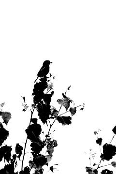 Sparrow, Dunnock, songbird, black and white, abstract by Maartje van Tilborg