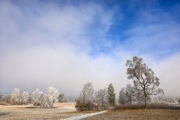 Mist en rijp - Winterlandschap Irndorfer Hardt in het natuurpark Obere Donau van BlattArt - Christine Horn