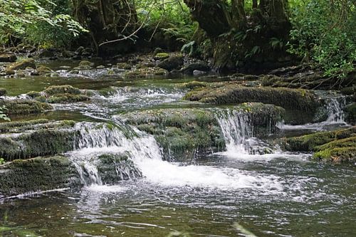 Fowley's Falls in Ierland