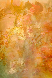 Flower Dream 2