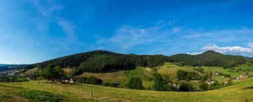 Duitsland, XXL panorama van paradijselijke zwarte woud natuur van adventure-photos