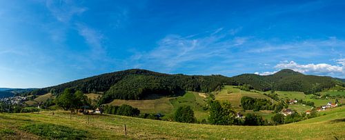 Duitsland, XXL panorama van paradijselijke zwarte woud natuur