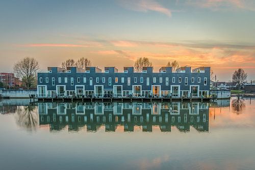 Het rieteiland by Francis de Beus