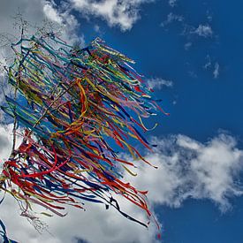 Kleuren in de wind by Tanja de Boer